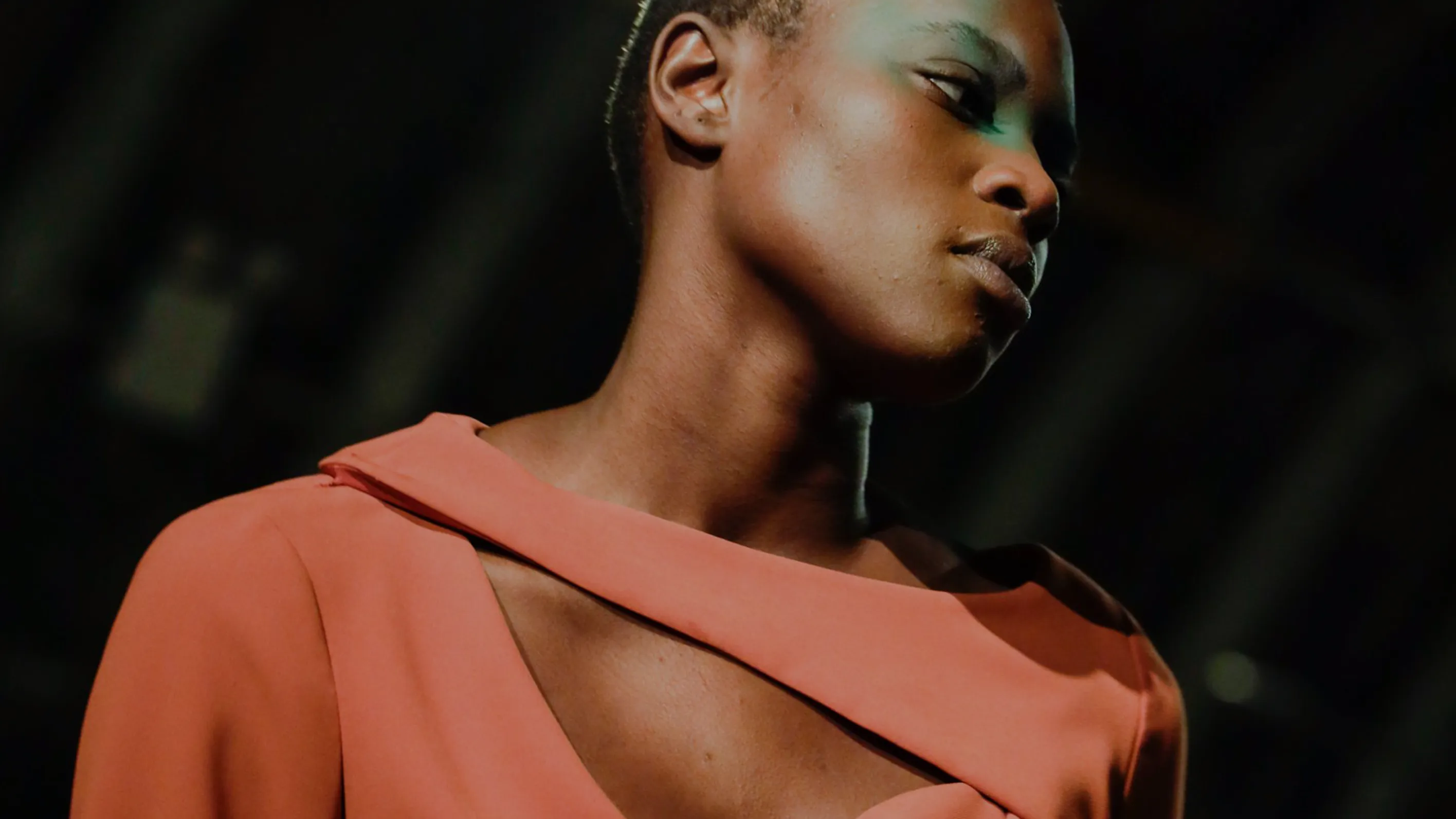 NYFW: WOMEN'S FALL-WINTER 2020 Poster